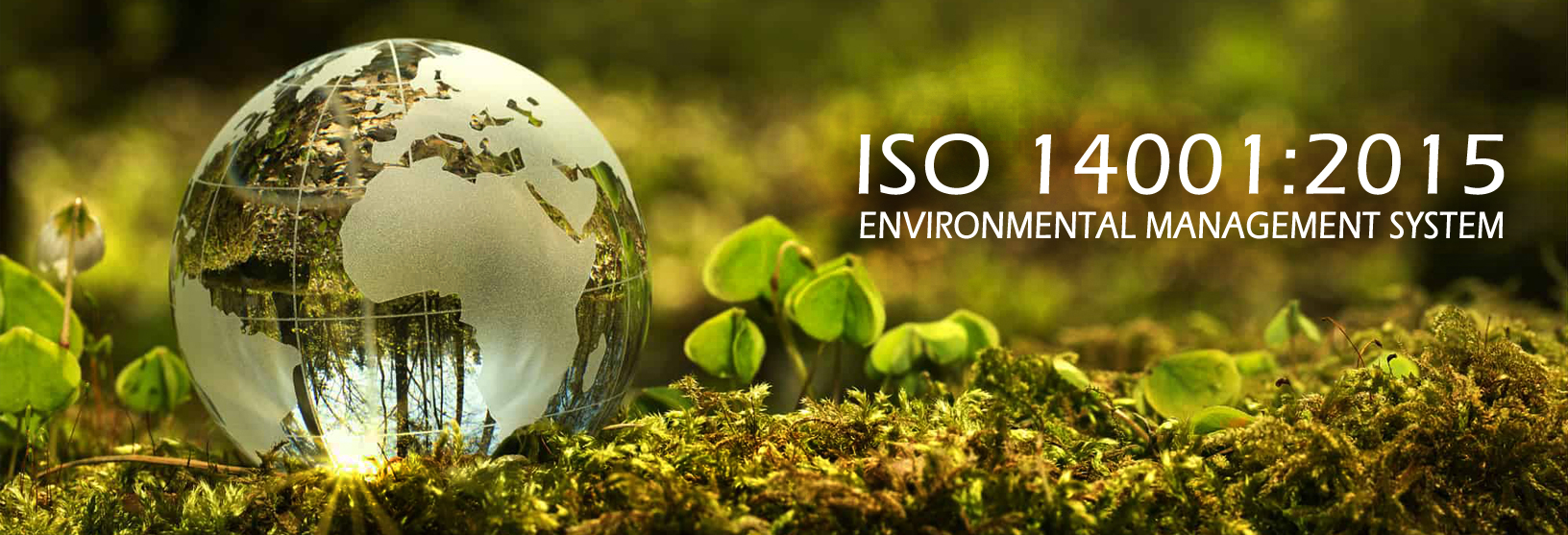 iso certification services in south delhi, iso certification provider in south delhi, iso certification consultants in delhi, iso certification cost in delhi, iso certification consultants in delhi ncr, ISO 9001 Certification in Delhi